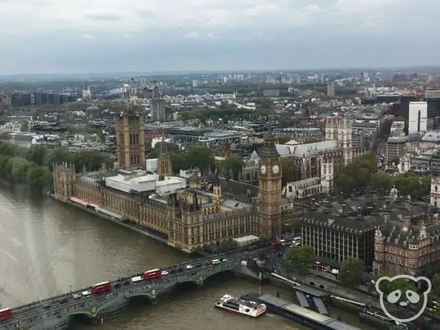 london_eye_parliament_closeup