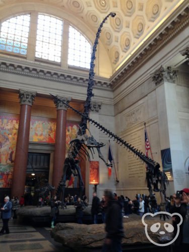 amnh_lobby