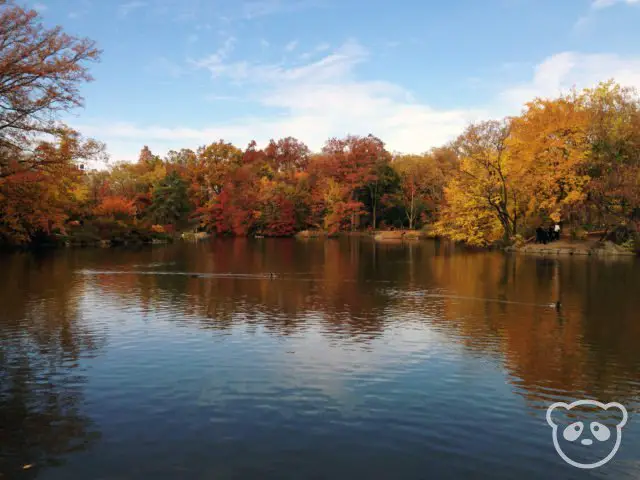 centralpark_thelake