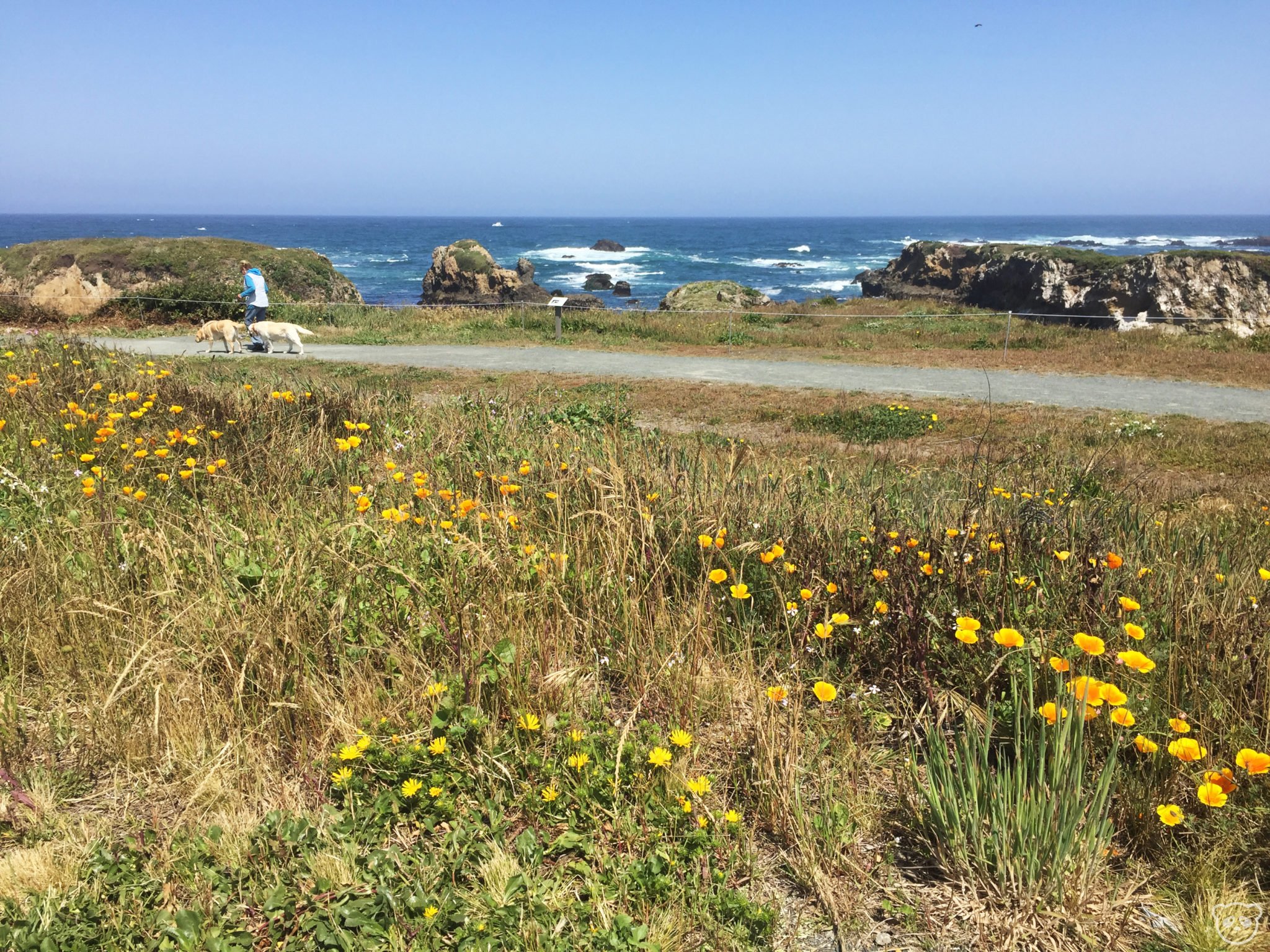 mackerricherstatepark