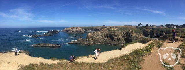 mendocinoheadlands_pano2