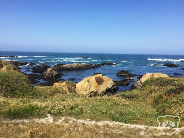 Pacific Ocean at Noyo Headlands