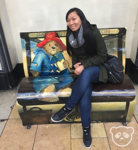 paddington_panda