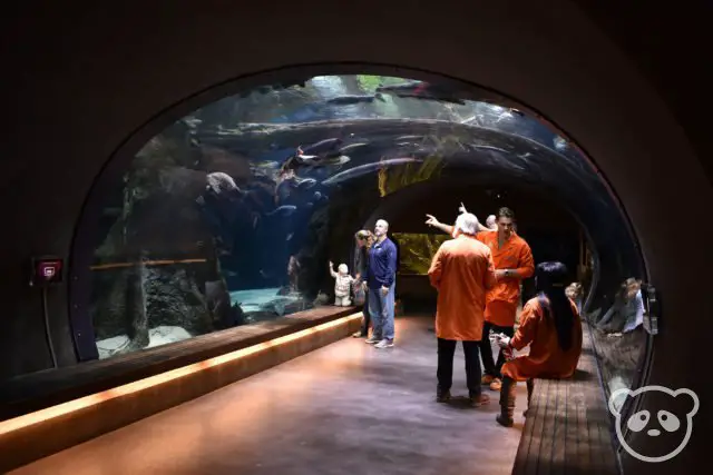 academyofsciences_aquarium_tunnel