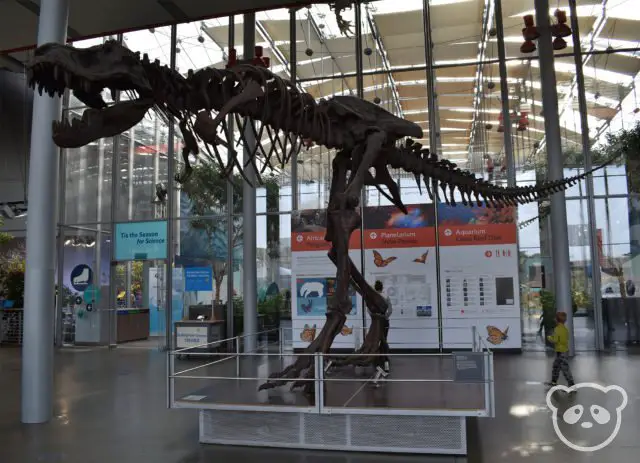 academyofsciences_entrance_trex