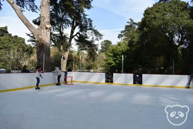 academyofsciences_holidayskatingrink