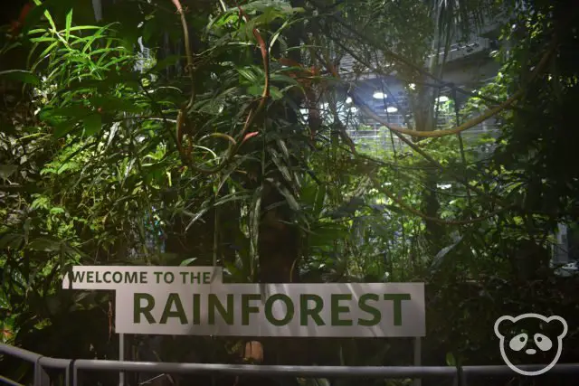 academyofsciences_rainforest_interior_sign