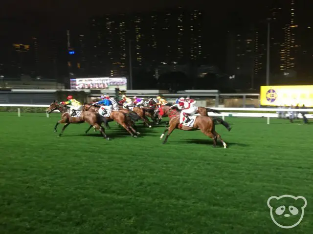 hk_happyvalley_horserace