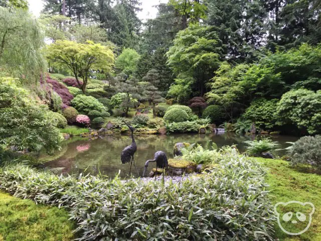 portland-japanese-garden-cranes