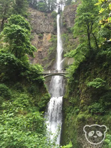 portland-multnomah-falls-waterfall