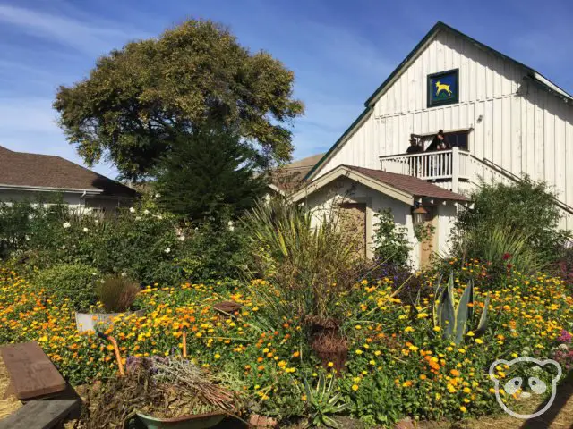 Harley Farms Shop