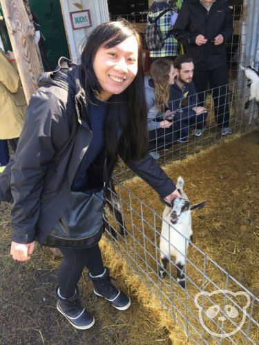 harley-farm-petting-baby-goats