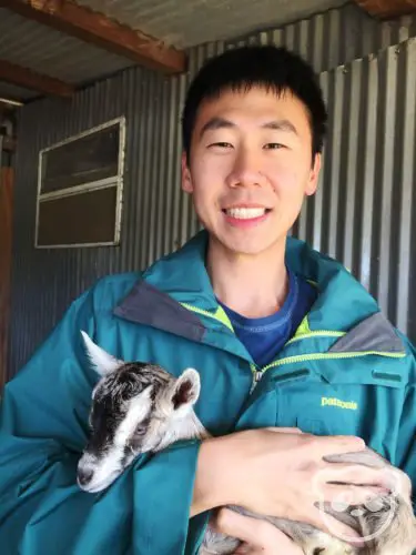 harley-farm-tour-bear-holding-baby-goat