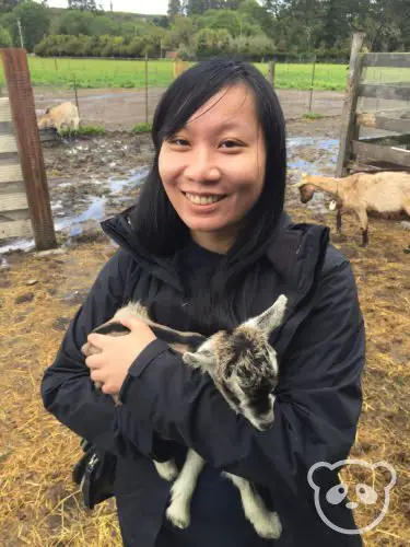harley-farm-tour-panda-holding-baby-goat-outside