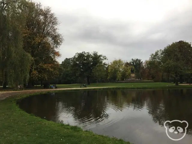 Pond at Vondelpark