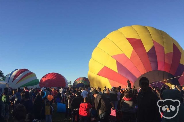 hot air balloon rides mid north coast