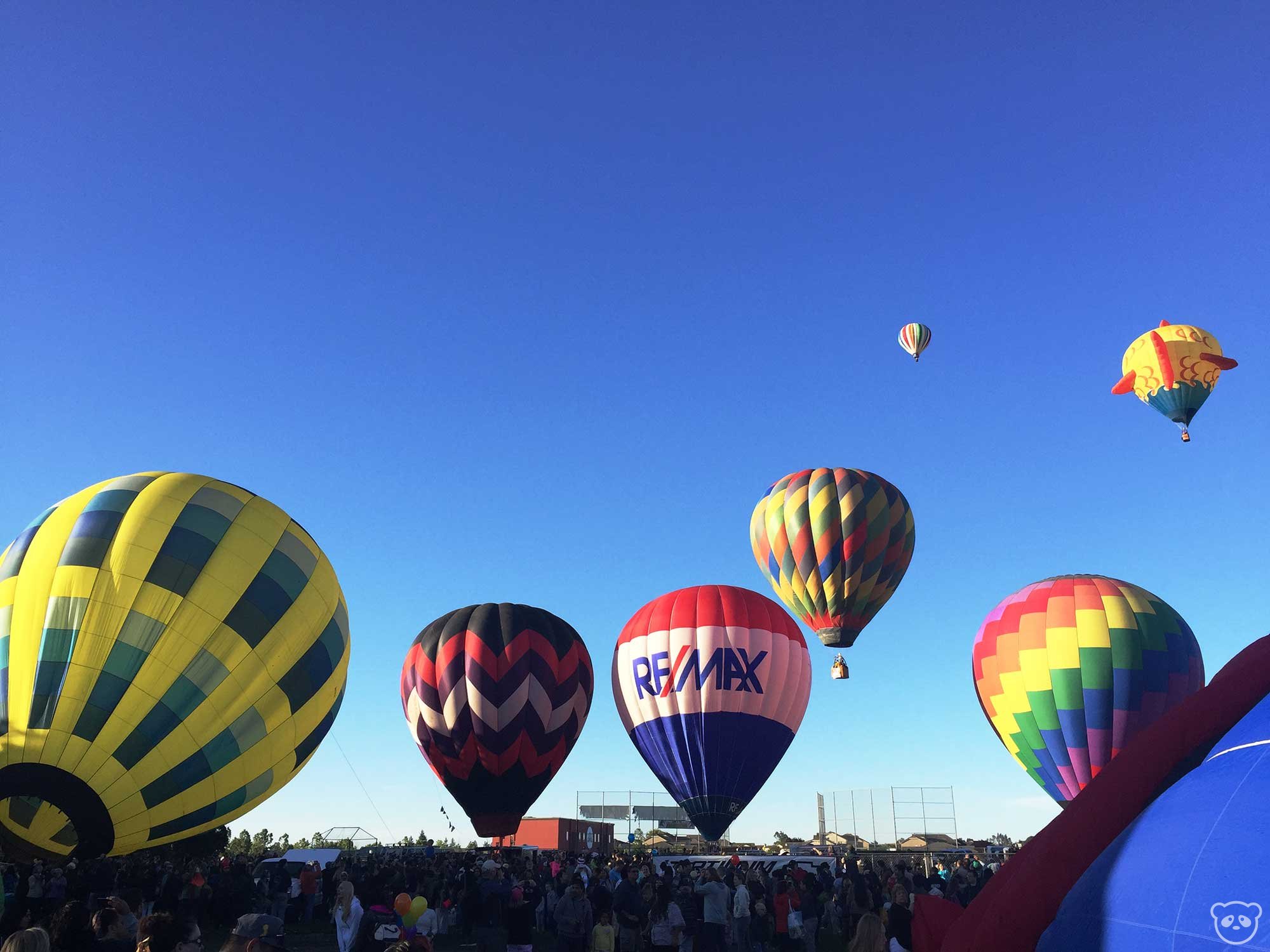 Hot air balloon deals california