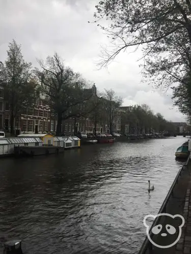 small canal tours amsterdam