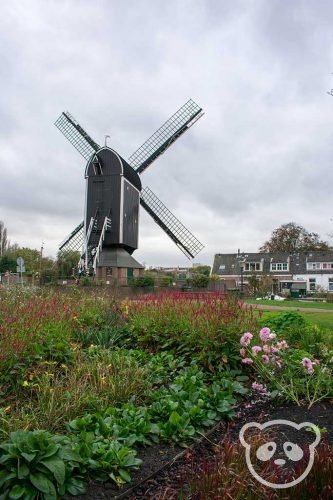 leiden city trip