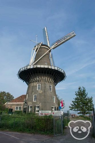 leiden city trip