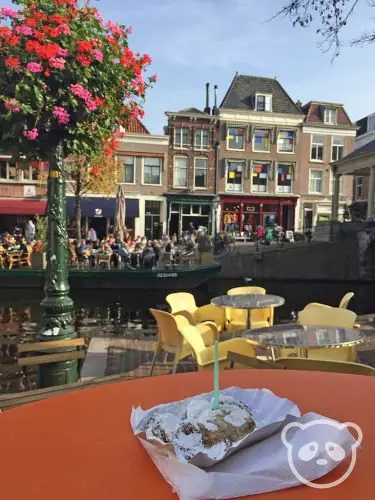 leiden netherlands trip