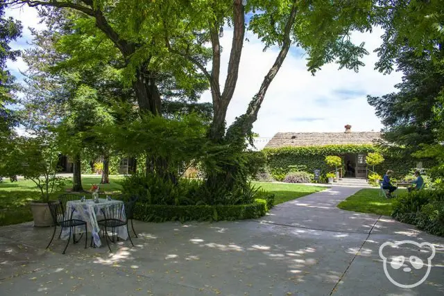 Courtyard with our table to the left.