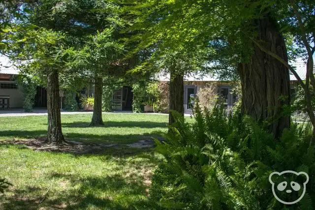 View of the courtyard from our table.