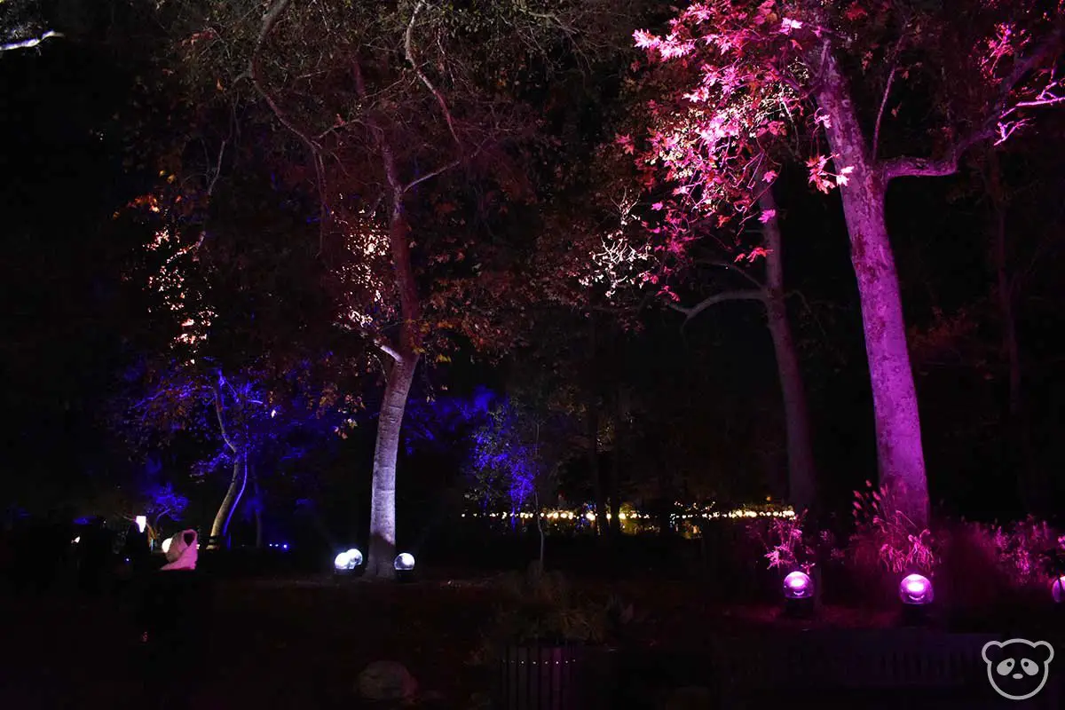 Descanso Gardens Enchanted Forest Of Holiday Lights In Los - 