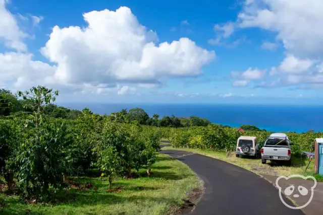 visit kona hawaii