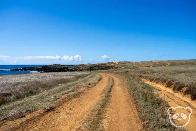 visit kona hawaii