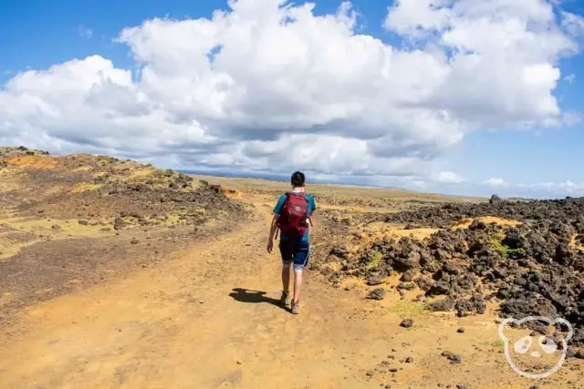 visit kona hawaii