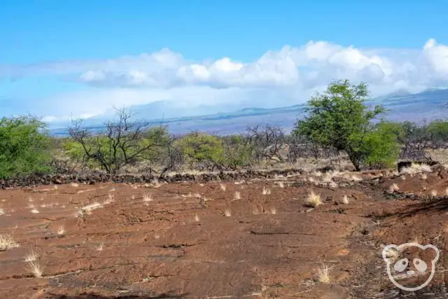 visit kona hawaii