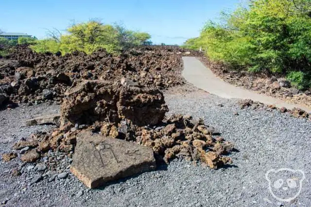 visit kona hawaii