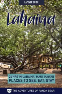 24 hour guide to Ka’anapali & Lahaina, Maui, HI. The best things to do in 1 day in Maui. Layover guide to Ka’anapali & Lahaina in Maui. 1 day itinerary to Maui, Hawaii. Includes places to see, eat, and stay with Ka’anapali Beach, Cliff Divers at Black Rock, Lahaina Old Town, Wo Hing Temple Museum, Lahaina Banyan Court Park, and more! #Maui #Hawaii #Lahaina #USA