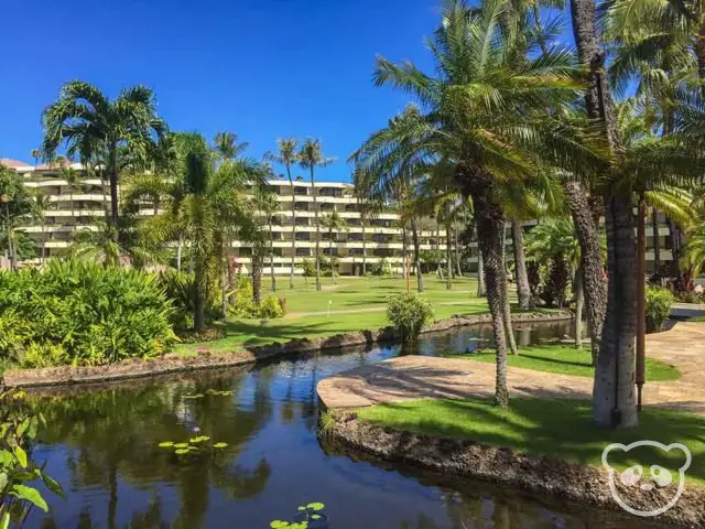 Koi pond and palm trees with the Sheraton Maui Resort & Spa building behind. 