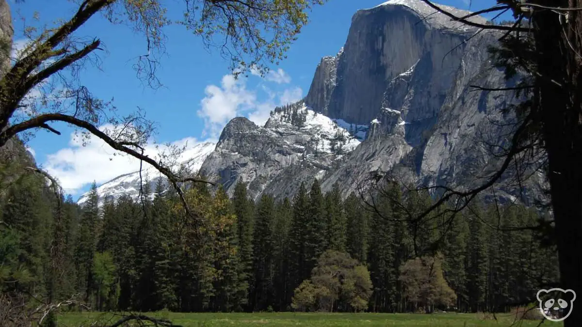 One Day In Yosemite National Park Day Trip From San Francisco The Adventures Of Panda Bear